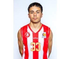 Marko Prka basketball player