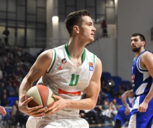 Marko Simonovic basketball player photo 1