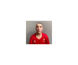 Martins Vucins basketball player photo 1