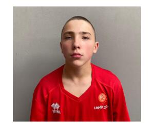 Martins Vucins basketball player