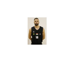 Marton Domsitz basketball player - PF