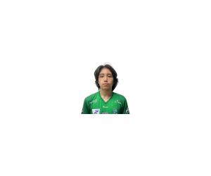 Marvin Palona basketball player