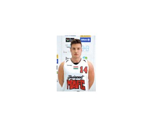 Mate Molnar basketball player - PG