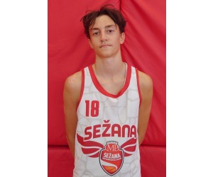 Matija Maver basketball player