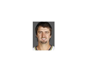 Mehmet Okur basketball player - C