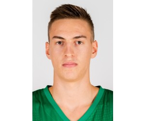 Miha Cerkvenik basketball player photo 2
