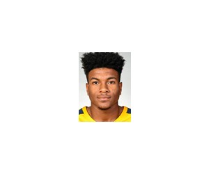 Miles Mcbride basketball player photo 1