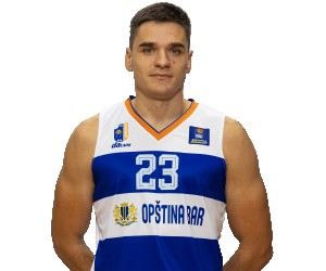 Milija Mikovic basketball player photo 4