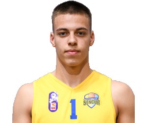 Milutin Vidic basketball player photo 1