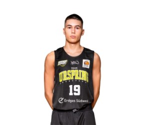 Mirko Vrdoljak basketball player