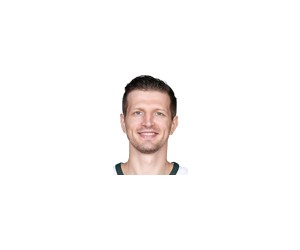 Mirza Teletovic basketball player - PF