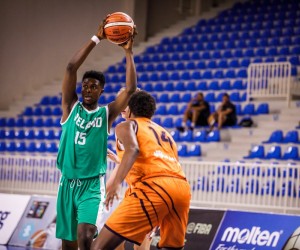 Nd Okafor basketball player - C