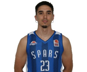 Nedzad Muratovic basketball player - F