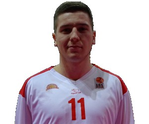 Nemanja Mrda basketball player - SF