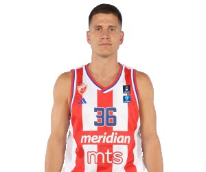 Nemanja Nedovic basketball player photo 2