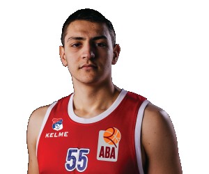 Nemanja Reljic basketball player - C