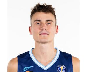 Nenad Dimitrijevic basketball player photo 5