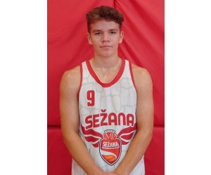 Nik Ursic basketball player