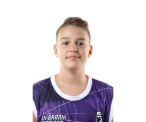 Niko Grmek basketball player