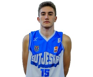 Nikola Bojicic basketball player - C