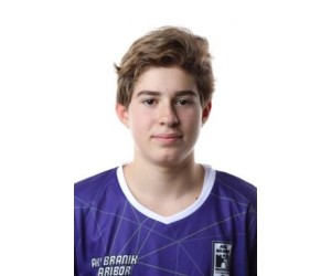 Nikola Dizdarevic basketball player