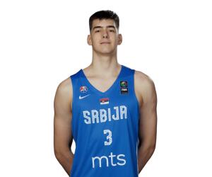 Nikola Dzepina basketball player photo 2