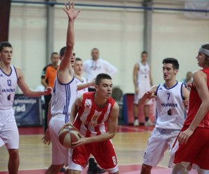 Nikola Manojlovic basketball player - SG/SF