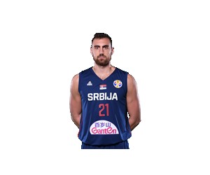 Nikola Milutinovic basketball player - G