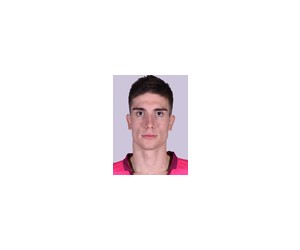 Nikola Miskovic basketball player photo 2