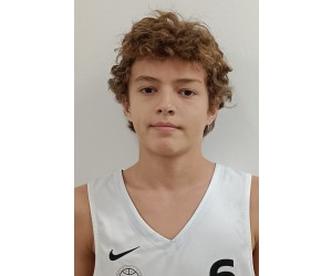 Nikola Nesterovic basketball player