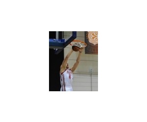 Nikola Pavlovic basketball player - SG