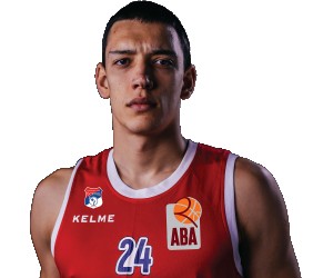 Nikola Tanaskovic basketball player photo 2