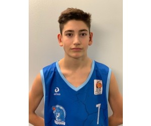 Nikola Tomic basketball player - F