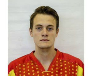 Nikolai Kosichkin basketball player - PF/SG