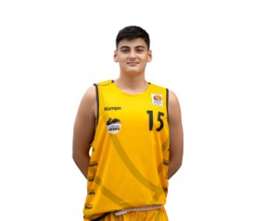 Nikolaos Tranopoulos basketball player