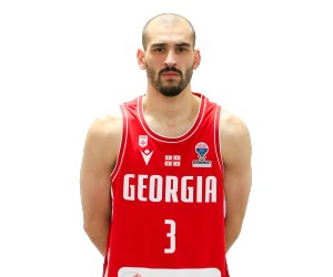 Nikoloz Gaprindashvili basketball player photo 2