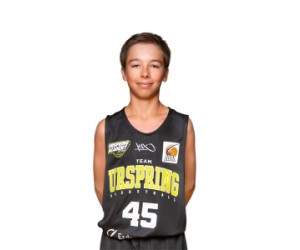Nils Koall basketball player