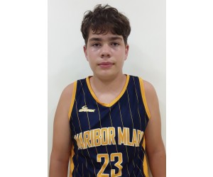 Nino Glogovac basketball player