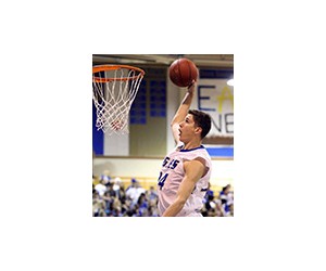 Novak Topalovic basketball player photo 1