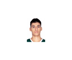 Panagiotis Kalaitzakis basketball player photo 2