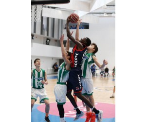Pape Ablaye Sow basketball player - SG/SF