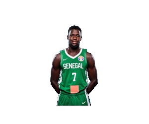 Pape Moustapha Diop basketball player - C