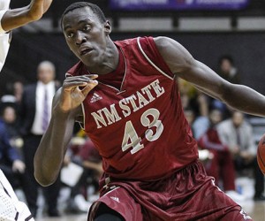 Pascal Siakam basketball player photo 1