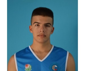 Pavel Pavlyuchenko basketball player - PF
