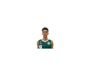 Pedro Magalhaes basketball player