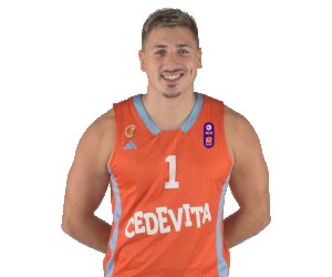 Petar Ogrizovic basketball player photo 3