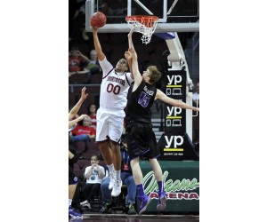Philipp Hartwich basketball player photo 1