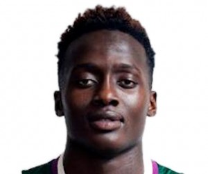 Pierre Waly Sene basketball player - SF/PF