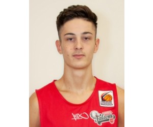 Predrag Veljkovic basketball player - SG