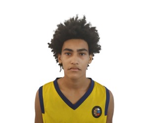 Rafael Volokitin basketball player - PG
